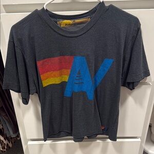 Aviator nation Graphic T-Shirt - Gray with Multicolor Design